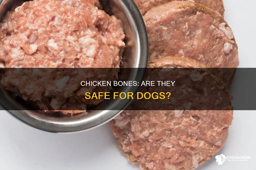 will a small amount of chicken bone hurt a dog