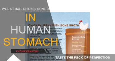 Chicken Bones: Can They Dissolve in the Stomach?