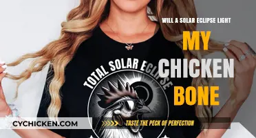 Solar Eclipse Myth: Can It Illuminate Your Chicken Bone?