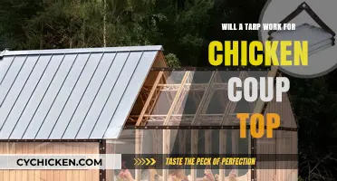 Can a Tarp Effectively Protect Your Chicken Coop Roof?