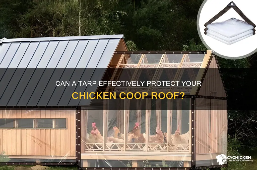 will a tarp work for chicken coup top
