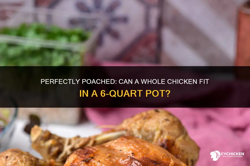 will a whole chicken fit in 6 quart pot