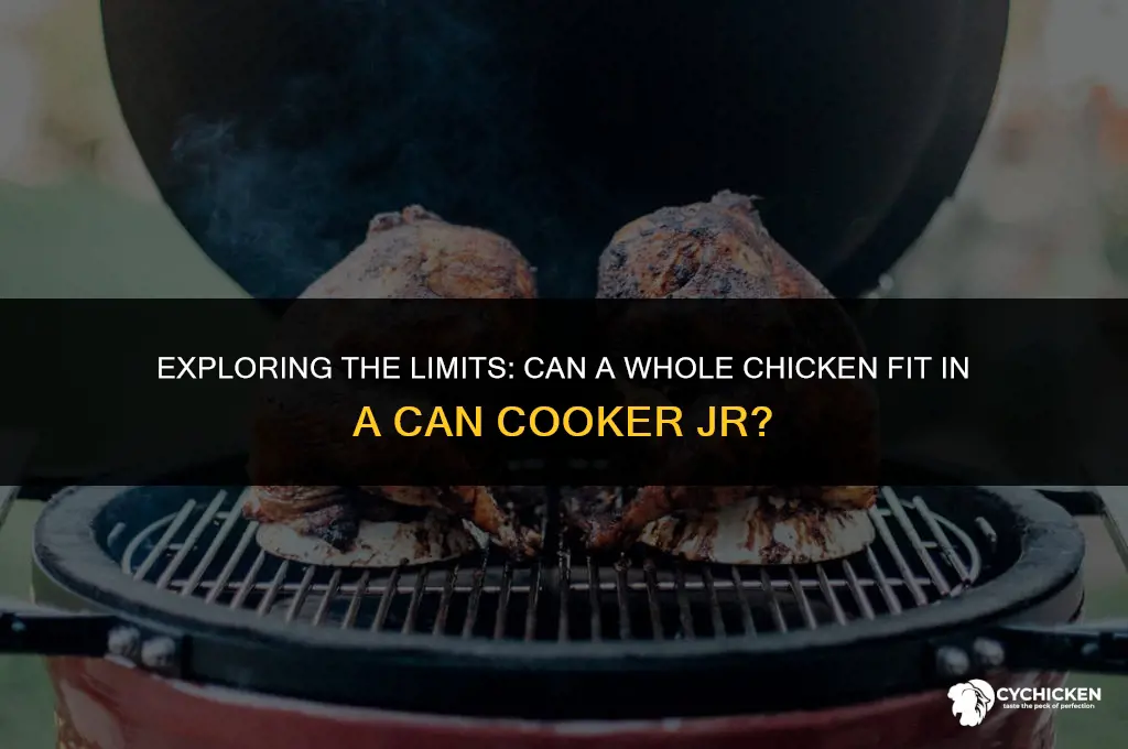 will a whole chicken fit in a can cooker jr