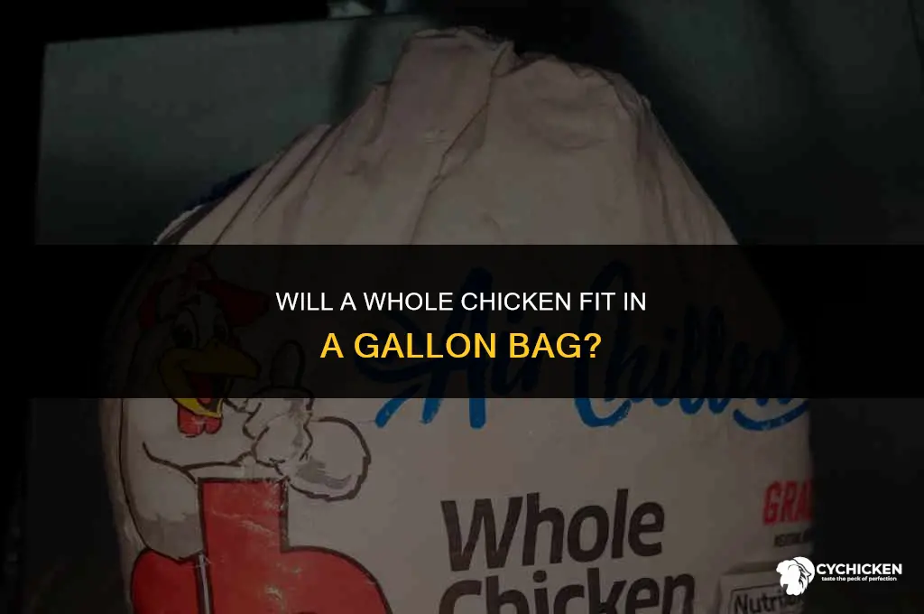 will a whole chicken fit in a gallon bag