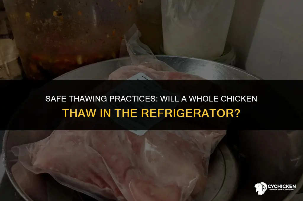 will a whole chicken thaw in the refrigerator