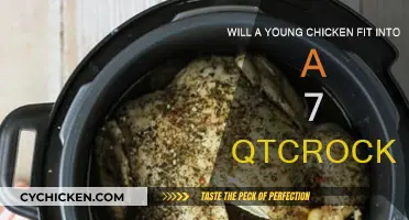 Crockpot Capacity: Can You Fit a Chicken?