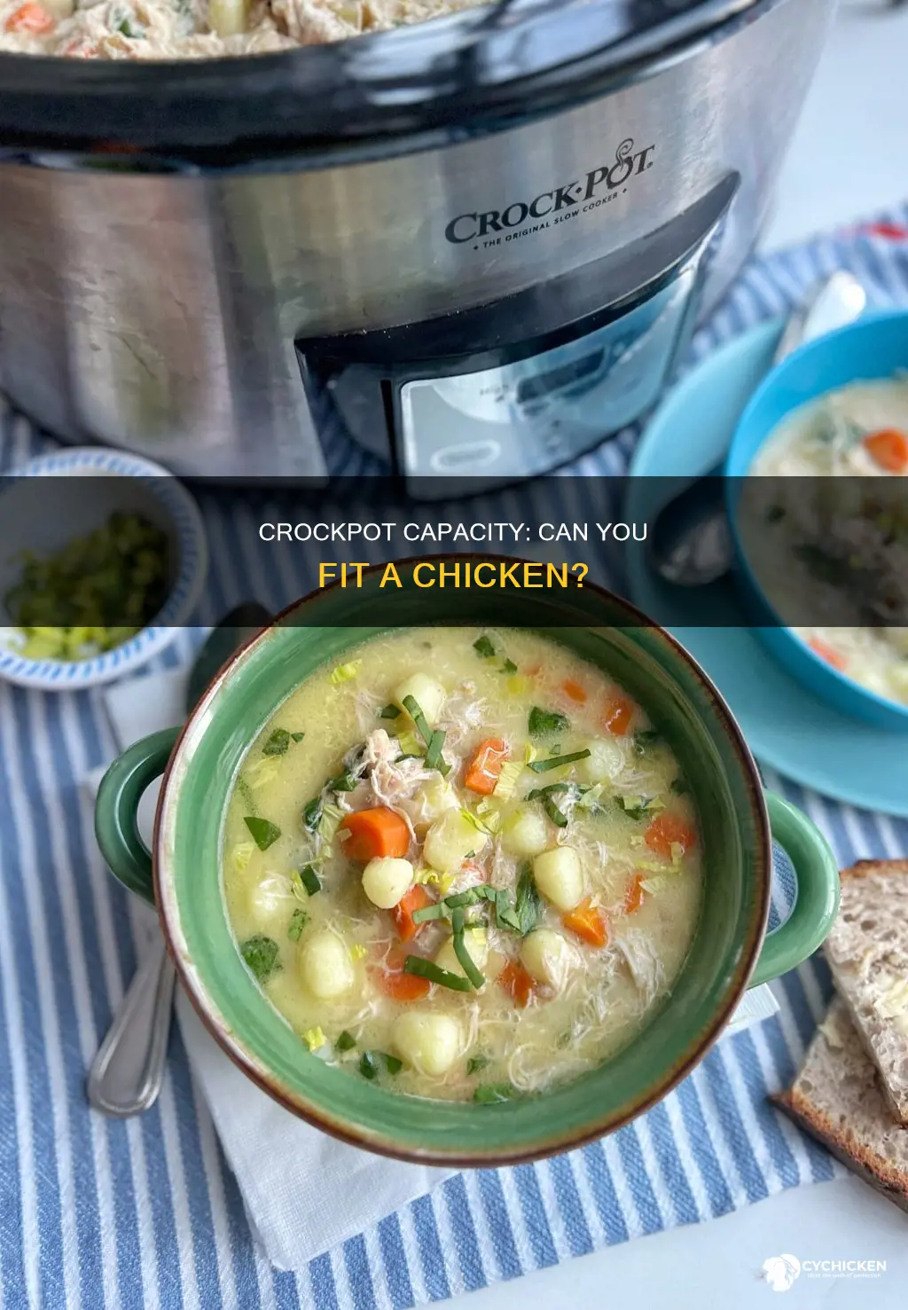 will a young chicken fit into a 7 qtcrockpot