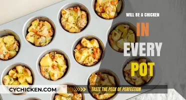 Ensuring Food Security: A Chicken in Every Pot Initiative