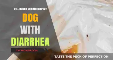 Boiled Chicken for Dogs: A Diarrhea Remedy or Myth?