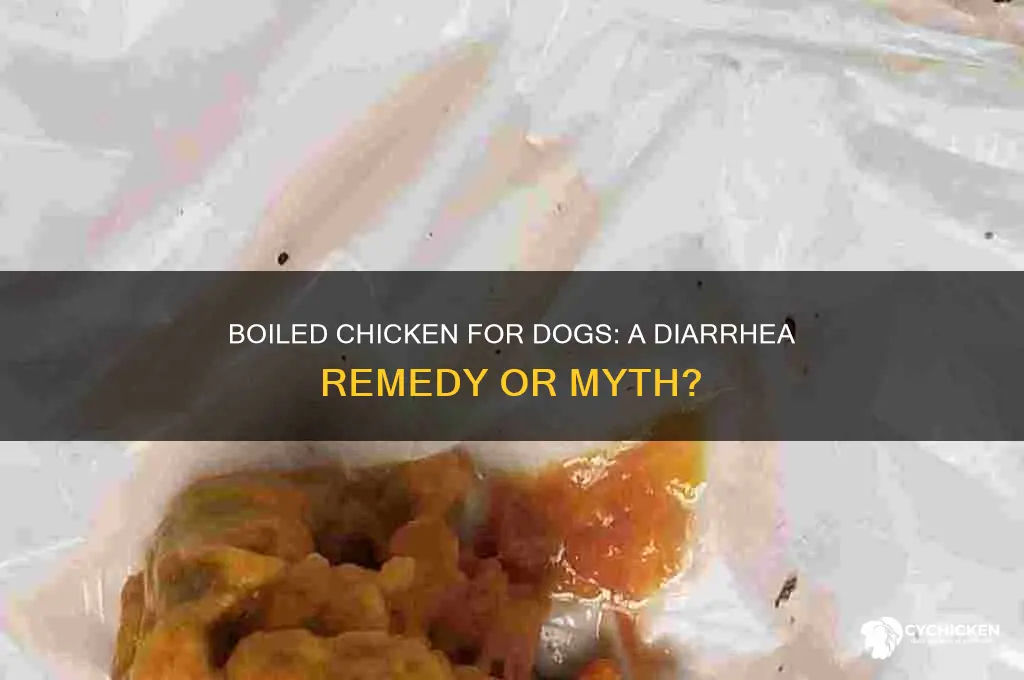 will boiled chicken help my dog with diarrhea