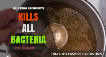 Does Broiling Chicken Broth Eliminate All Bacteria?