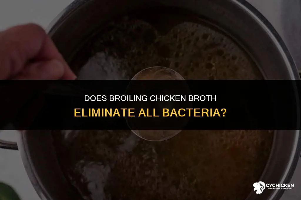 will broiling chicken broth kills all bacteria