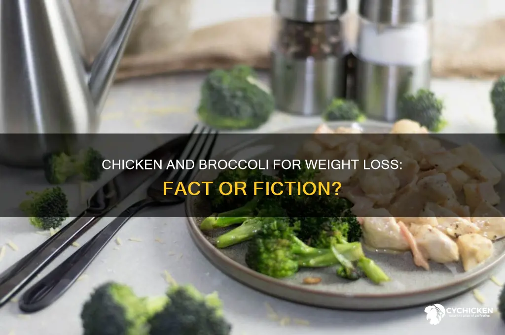will chicken and broccoli help me lose weight