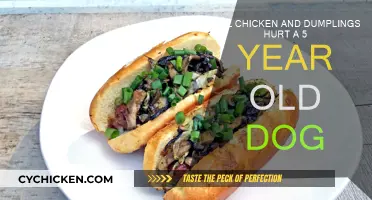 Chicken Dumplings: Safe Treat for Your Dog?