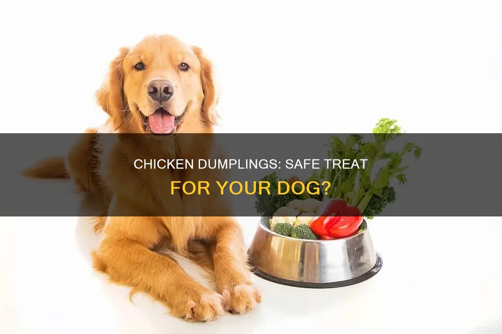 will chicken and dumplings hurt a 5 year old dog