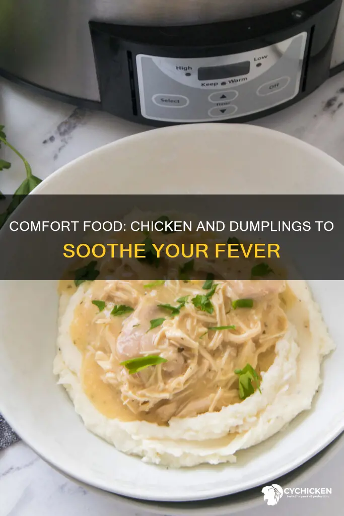 will chicken and dumplins help when you have fever