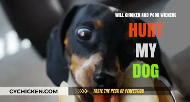 Can Dogs Eat Chicken and Pork Wieners? Potential Risks Explained