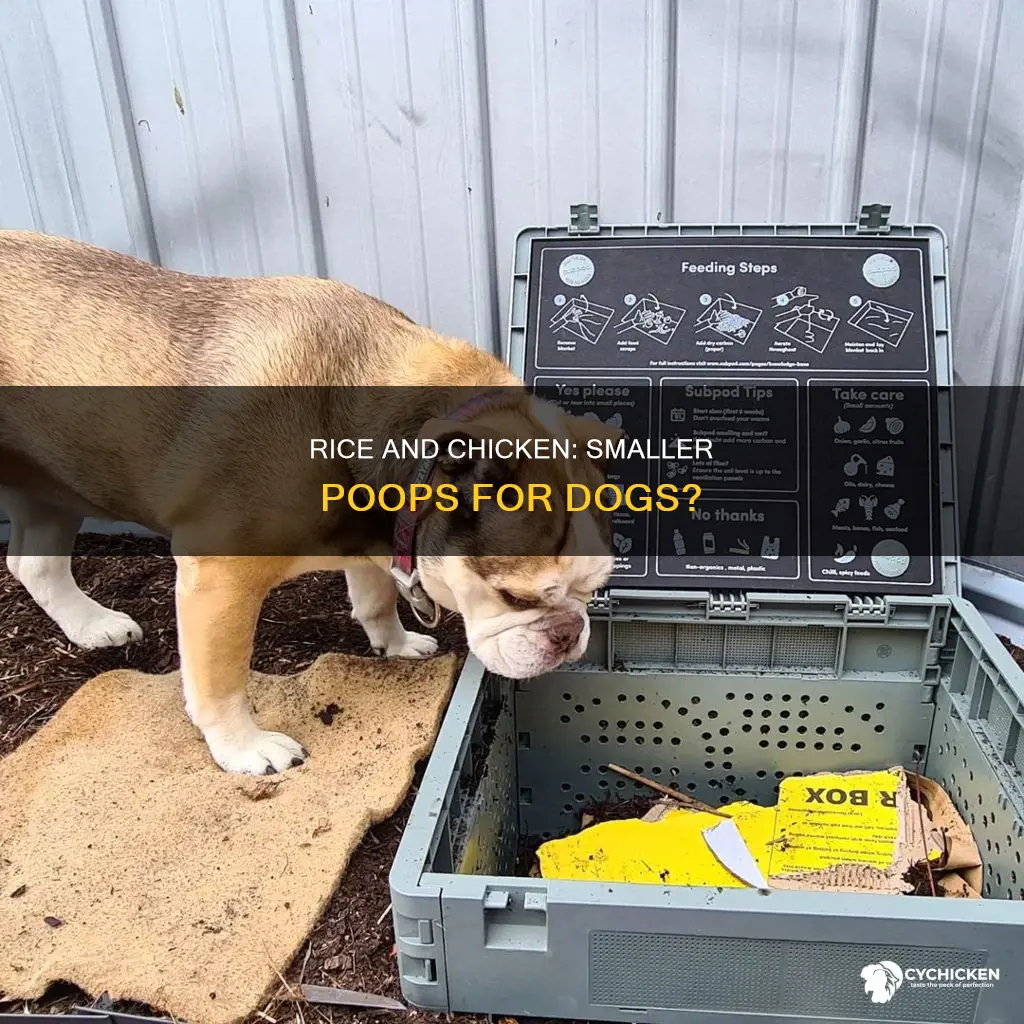 will chicken and rice cause dog to poop smaller