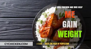 Can Chicken and Rice Boost Your Weight Gain Goals Effectively?