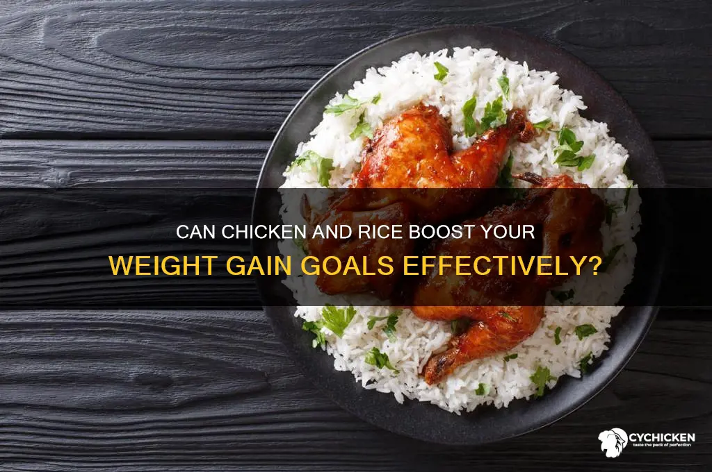 will chicken and rice help me gain weight