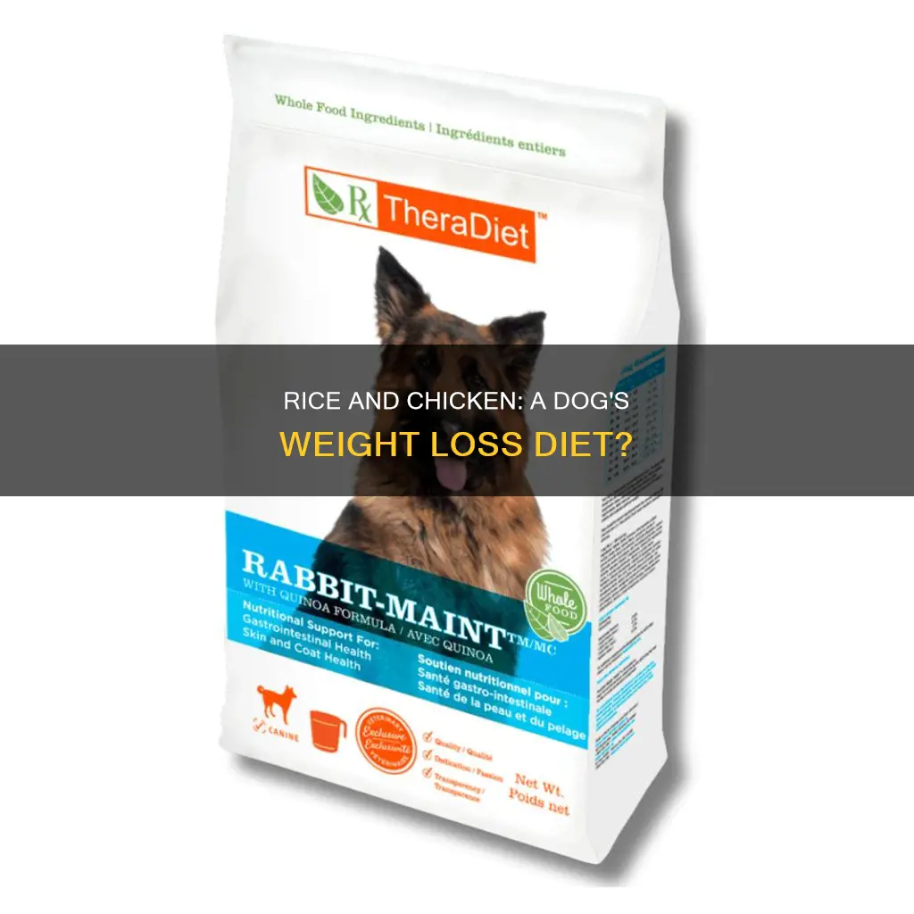will chicken and rice help my dog lose weight