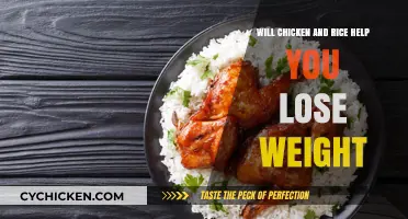 Chicken and Rice for Weight Loss: Fact or Fiction?