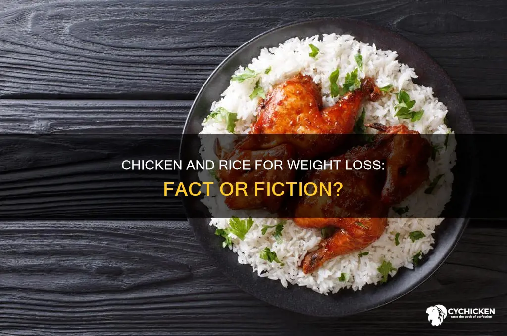 will chicken and rice help you lose weight