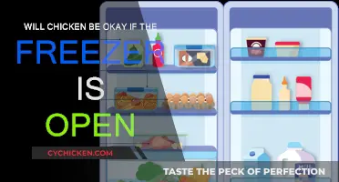 Freezer Mishap: Chicken Safety Tips