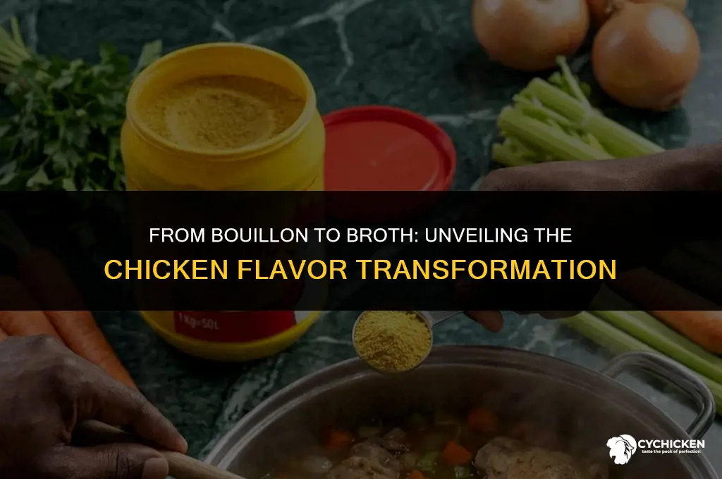 will chicken bouillon make chicken broth