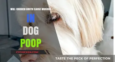 Exploring the Link: Chicken Broth and Mucus in Dog Stool