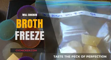 Chill or Not: The Freezing Dilemma of Chicken Broth Explained