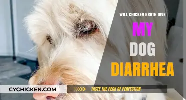 Will Chicken Broth Upset My Dog's Stomach? A Comprehensive Guide