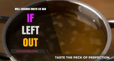 Will Chicken Broth Spoil if Left at Room Temperature?
