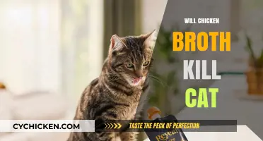 Will Chicken Broth Harm Your Feline Friend? A Comprehensive Guide