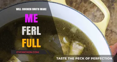 Savoring Satisfaction: Does Chicken Broth Really Fill You Up?