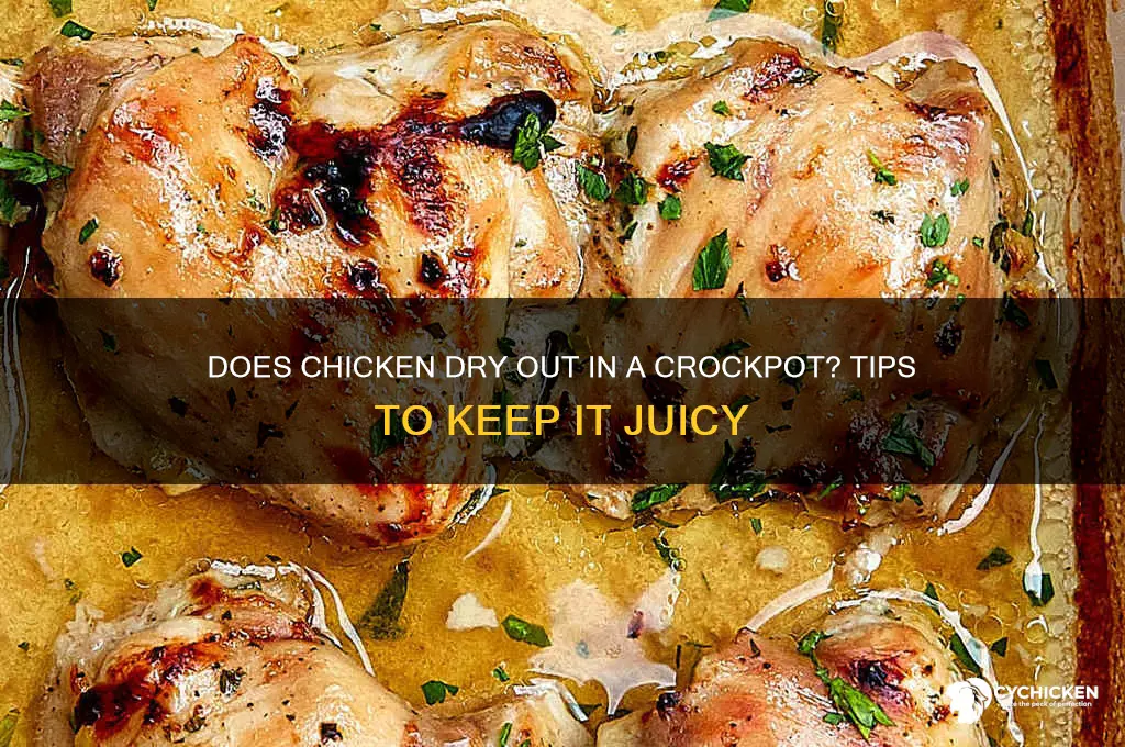 will chicken dryout if it sits in crockpot
