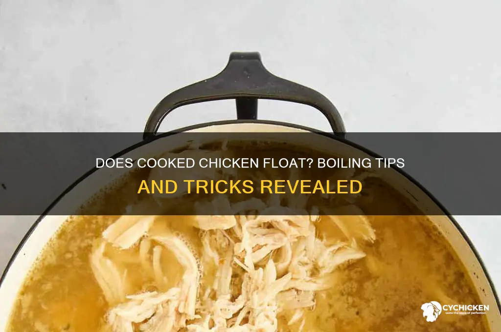 will chicken float when it