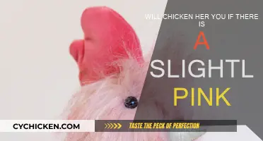 Is It Safe to Eat Slightly Pink Chicken?
