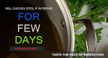 Chicken in the Fridge: How Long is Too Long?