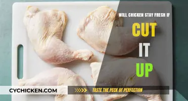 Cutting Chicken: How Long Does It Stay Fresh After Prep?