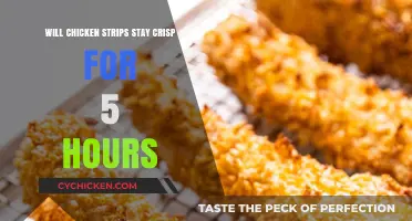 Keeping Chicken Strips Crispy: 5-Hour Freshness Tips and Tricks