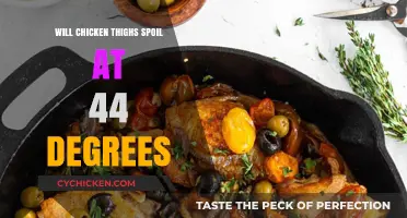 Chicken Thighs at 44°F: Safe or Spoiled? Find Out Now