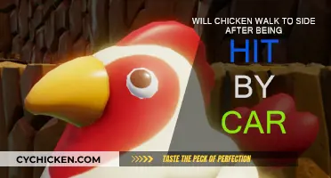 How Chickens Recover After Being Hit by Cars