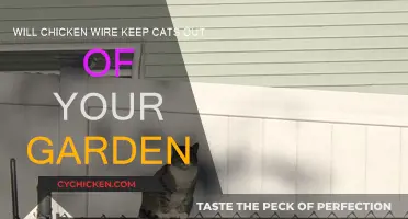Chicken Wire: An Effective Cat Garden Deterrent?