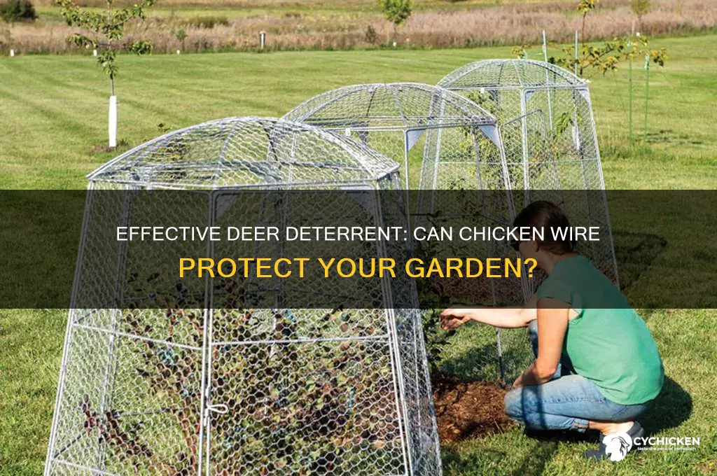will chicken wire keep deer out of garden