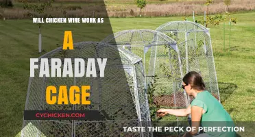 Can Chicken Wire Effectively Shield Electronics as a Faraday Cage?