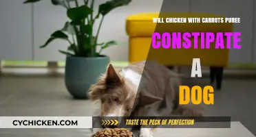 Can Chicken and Carrot Puree Cause Constipation in Dogs?
