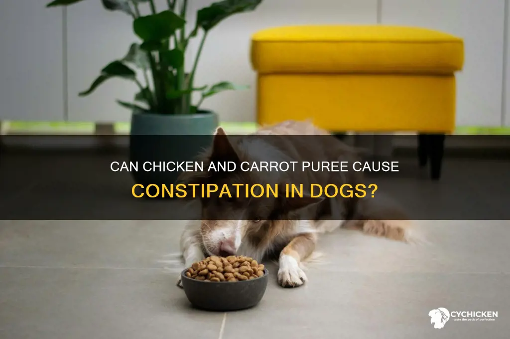 will chicken with carrots puree constipate a dog
