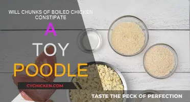 Boiled Chicken and Toy Poodles: Constipation Risk?