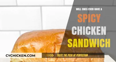 Will CNES Ever Launch a Spicy Chicken Sandwich Sensation?